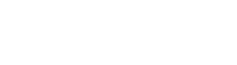 Business Force B4